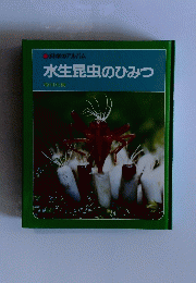 水生昆虫のひみつ