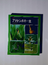 科学のアルバム アカトンボの一生