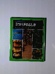科学のアルバム ミツバチのふしぎ