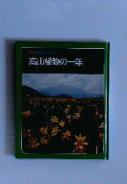 高山植物の一年