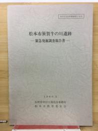 松本市笹賀牛の川遺跡緊急発掘調査報告書　