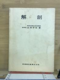 解剖