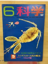 6年の科学  5号1学期開始号