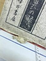 隨筆魚の眼