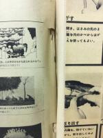 ５年の科学　１９６９年４月号　魚のからだ　花のしくみ　宇宙