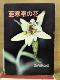 亜寒帯の花