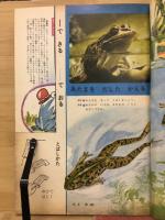 1年の学習 1963年6月号