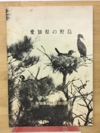 愛知県の野鳥