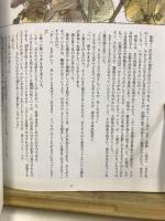 興亡三国志