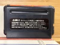 獣王記　MD メガドライブ　ソフトのみ　箱・説明書欠