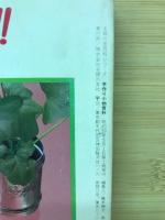 手作り小物百科　