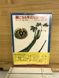 薬になる身近な食べもの : 思いがけない健康と美容法