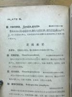 原色日本岩石図譜