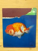 高級金魚の飼育と観賞