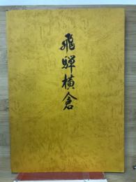 飛驒横倉 : 飛驒横倉遺跡発掘調査報告書