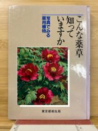 こんな薬草知っていますか　写真でみる薬用植物