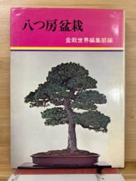 八つ房盆栽