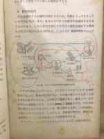 生物 : 高等学校の科学