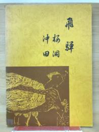 飛騨桜洞沖田 : 飛騨桜洞・沖田遺跡発掘調査報告書