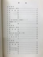 飛騨桜洞沖田 : 飛騨桜洞・沖田遺跡発掘調査報告書