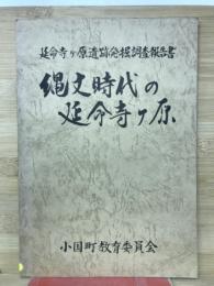 延命寺ヶ原遺跡発掘調査報告書　縄文時代の 延命寺ヶ原