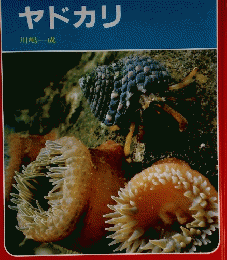 〇科学のアルバム　ヤドカリ