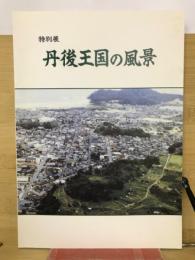 特別展　丹後王国の風景　