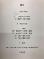 愛知県埋蔵文化財センター調査報告書　第155集牛寺遺跡