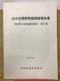 込水古窯群発掘調査報告書　美浜町文化財調査報告 第6集