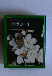 サクラの一年