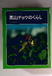 高山チョウのくらし　科学のアルバム