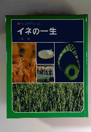 科学のアルバム イネの一生