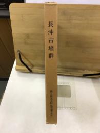 長沖古墳群 : 児玉町児玉南土地区画整理事業発掘調査報告