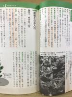 マツ : 毎月のやさしい手入れ