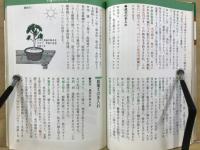 マツ : 毎月のやさしい手入れ