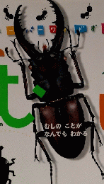 スーパーワィドずかん　むし