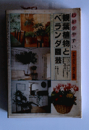 観葉植物とベランダ園芸