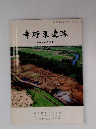 寺野東遺跡　発掘調査概要報告