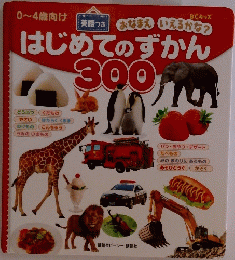 はじめてのずかん300