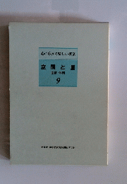 空間と量　面積・体積 9