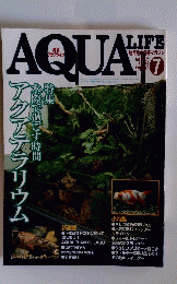 AQUA　LIFE　1999年7月号
