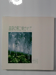 高原の風に吹かれて