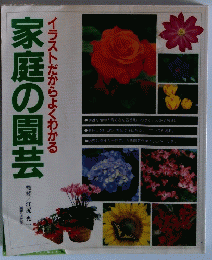 家庭の園芸　イラストだからよくわかる
