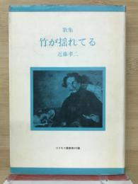 竹が揺れてる : 歌集