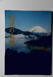 箱根の宝物