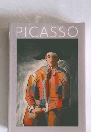 PICASSO
