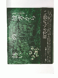 彼方からの訪い