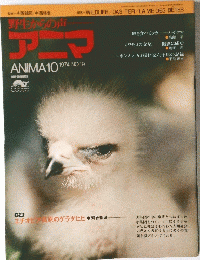 アニマ　1974年10月号　No.19