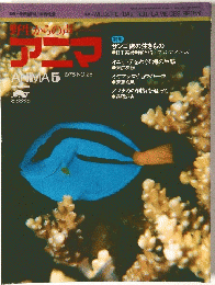 野生からの声　アニマ　1975年5月号