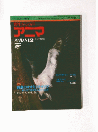 アニマ　1975年　No.34